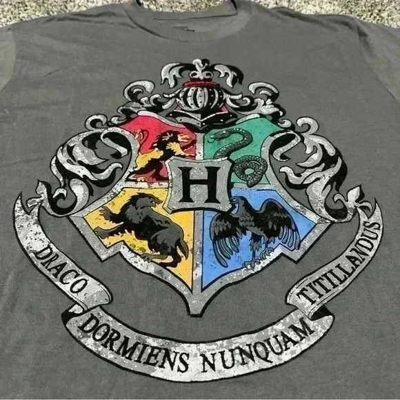 Harry Potter Universal Studios Hogwarts Crest Men's T Shirt Size S Gray - Picture 2 of 7